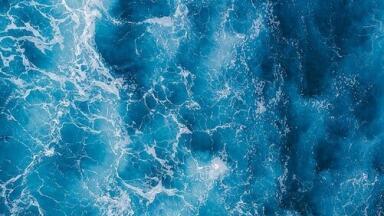 Chromatography Identifies an Elusive Natural Blue Food Colouring