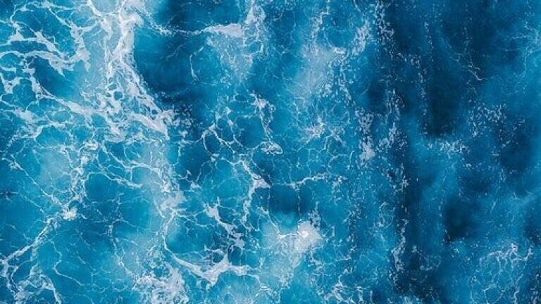 Chromatography Identifies an Elusive Natural Blue Food Colouring