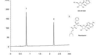 UHPLC Analysis of SARS-CoV-2 drug Remdesivir and its active metabolite GS-441524