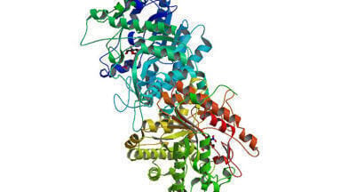 Glass columns as fixed bed reactors for immobilised enzymes