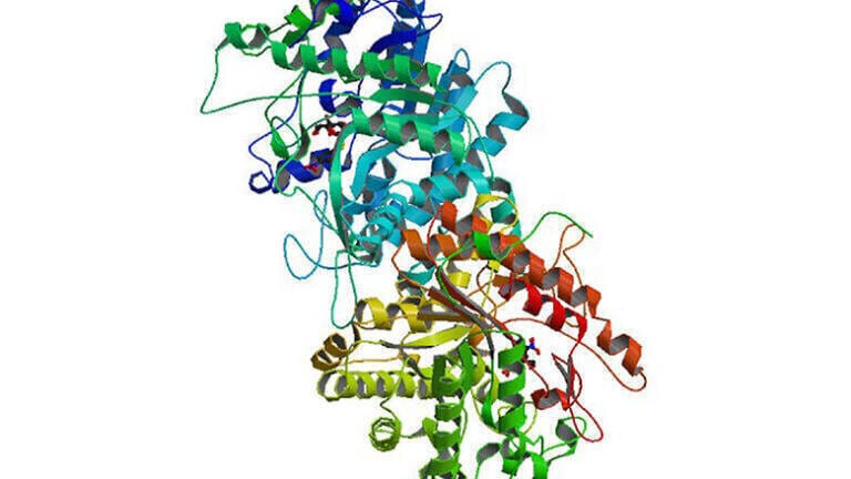 Glass columns as fixed bed reactors for immobilised enzymes