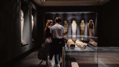 How Did Egyptians Embalm Bodies? Chromatography Explores