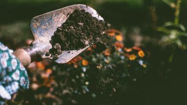 How Does Soil Warming Affect the Environment? Chromatography Investigates