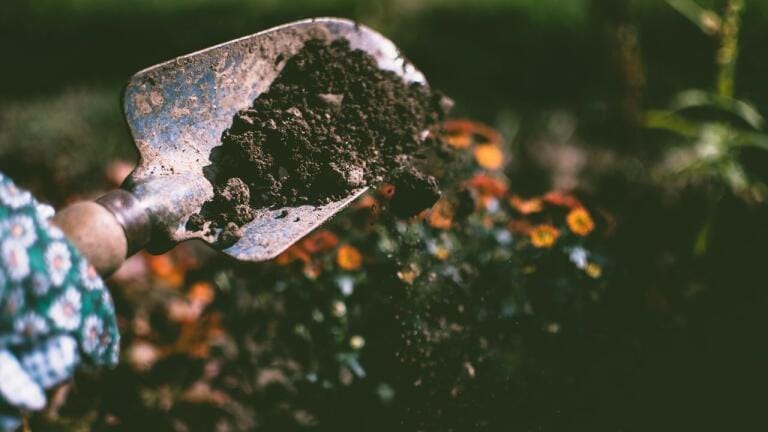 How Does Soil Warming Affect the Environment? Chromatography Investigates