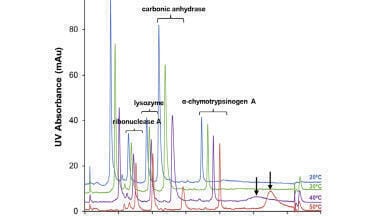 New Technical Note: A study of the resolving power of non-porous HIC columns for intact protein analysis