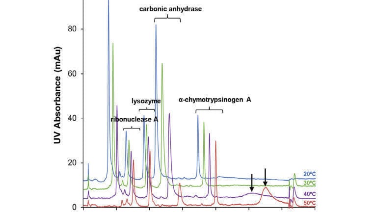 New Technical Note: A study of the resolving power of non-porous HIC columns for intact protein analysis