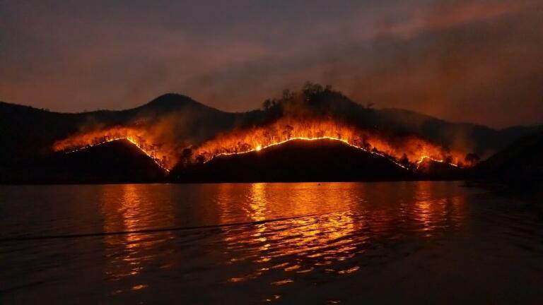How Do Wildfires Affect Wine? Chromatography Explores