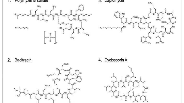 Fig. 2: Analysed cyclic peptides applied as antibacterial agents or immunosuppressants.