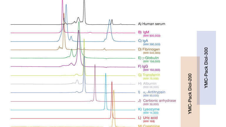 Figure 2: Analysis of plasma constituents by coupling two columns: YMC-Pack Diol-300 and YMC-Pack Diol-200.