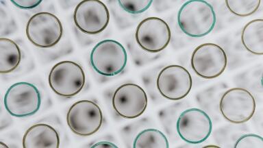 8 Types of Liquid Chromatography
