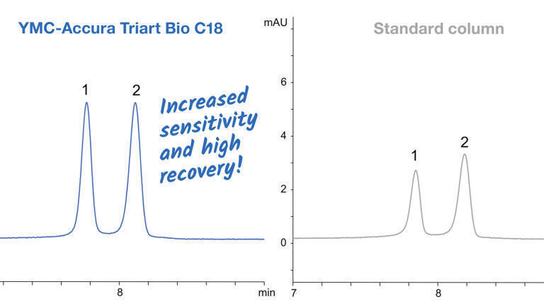Figure 1: Significantly increased peak heights and areas are obtained using a YMC-Accura Bio C18 column for the challenging analysis of phosphorothioate oligonucleotides.