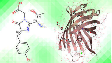 Analysis of mRNA coupled to enhanced green fluorescent protein by RP and IEX