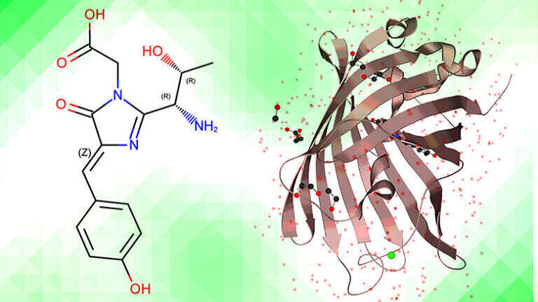 Analysis of mRNA coupled to enhanced green fluorescent protein by RP and IEX