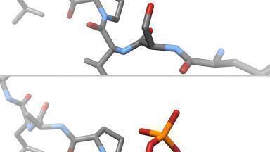 Recent advances in chromatography include Protein phosphorylation and non-covalent interactions