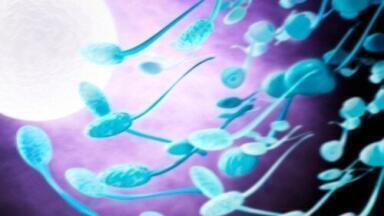 Nano Scale and Micro Scale Fluidic Separation