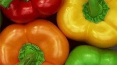 Analytical instruments for Food Safety testing