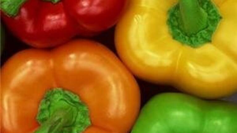 Analytical instruments for Food Safety testing