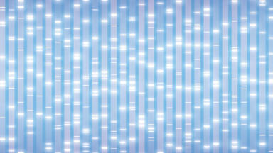 RP analysis of RNA markers using a bioinert YMC-Accura Triart Bio C4 column