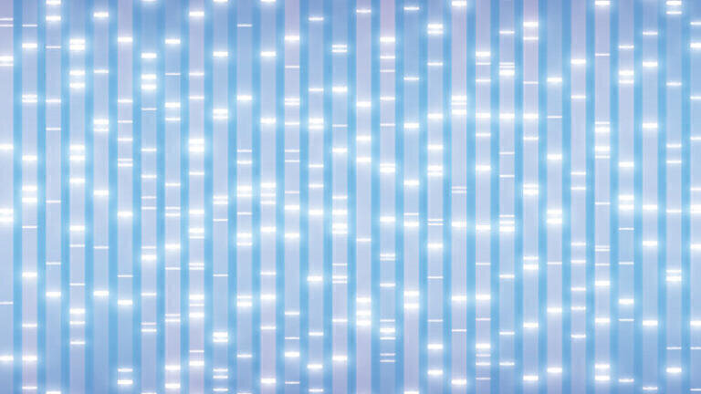 RP analysis of RNA markers using a bioinert YMC-Accura Triart Bio C4 column