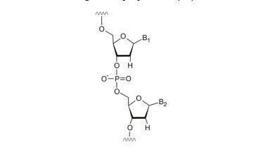 The best choice for poly(dT) oligonucleotide analysis – YMC-Triart Bio C18 columns