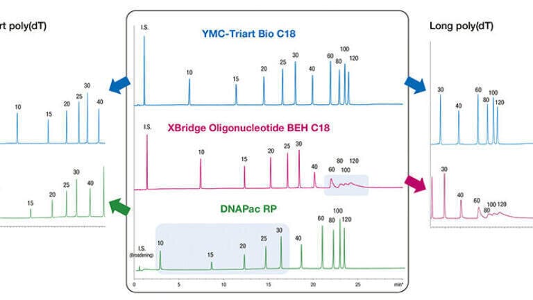 Figure 2: Comparison of poly(dT) oligonucleotides separation by IP-RP using YMC-Triart Bio C18,XBridge Oligonucleotide BEH C18 and DNAPac RP.