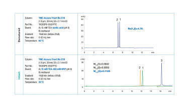 How to choose the optimum IP-RP conditions for analysis of denatured or non-denatured siRNA duplexes