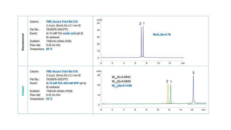 How to choose the optimum IP-RP conditions for analysis of denatured or non-denatured siRNA duplexes