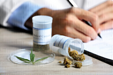 Revolutionising Cannabis Potency Analysis