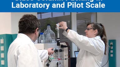 Learn all about glass columns in laboratory and pilot scale: workshop and user meeting