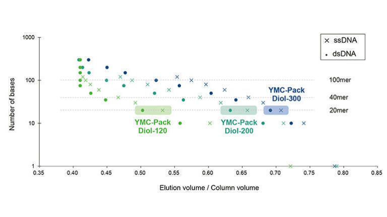Figure 3: Comparison of the elution volume of ssDNA and dsDNA by using YMC-Pack Diol columns with different pore sizes.
Selected corresponding ssDNA and dsDNA pairs of the same number of bases are marked.