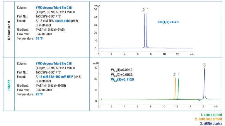 Figure 3: Optimum conditions tested for analysis of a denatured or non-denatured RNA duplex.