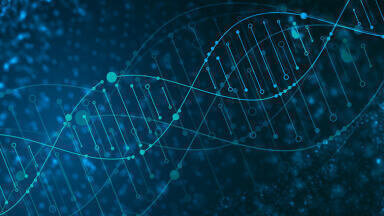 Oligonucleotides in HILIC mode: Determination of optimum method parameters