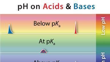 The Importance of Mobile Phase pH in Chromatographic Separations