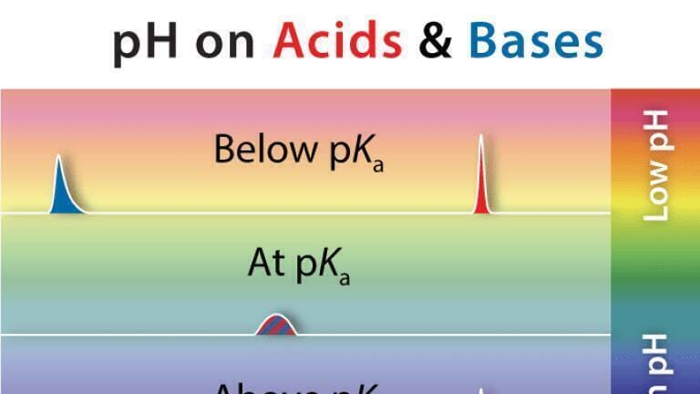 The Importance of Mobile Phase pH in Chromatographic Separations