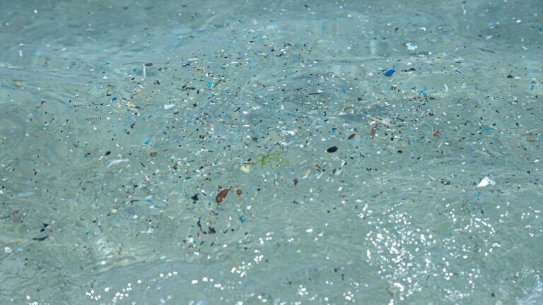 Analysing for Microplastics in Water Using Pyrolysis