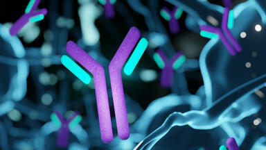 AEX-MS charge heterogeneity analysis of an IgG4-based mAb