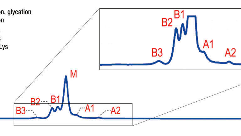 Figure 2: Native AEX-MS charge variant analysis, shown basic (B) and acidic (A) variant peaks as well as the main species (M) (5 μg mAb injection) [1].
