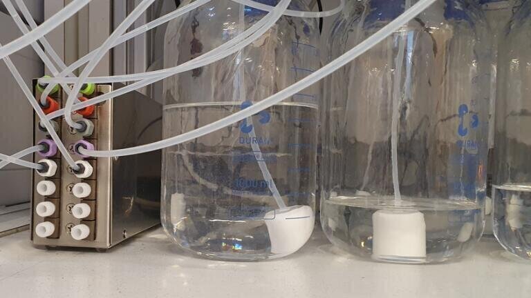 Custom degassing solution for automated flow chemistry