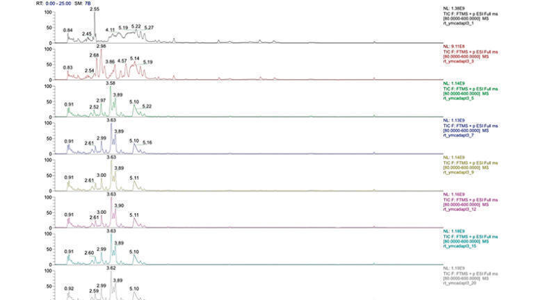 Figure 2: Rapid conditioning of the YMC Accura Triart Diol-HILIC column and the subsequent excellent reproducibility.