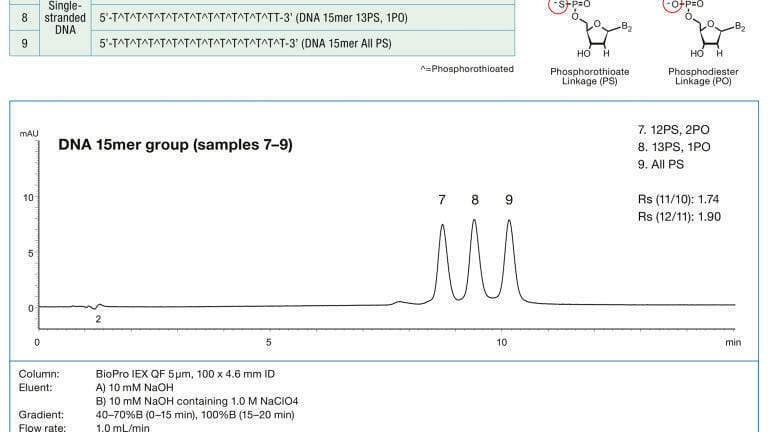 High Resolution Separation of PS and PO-Modified Oligonucleotides