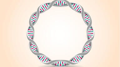 Efficient HIC plasmid isoform analysis
