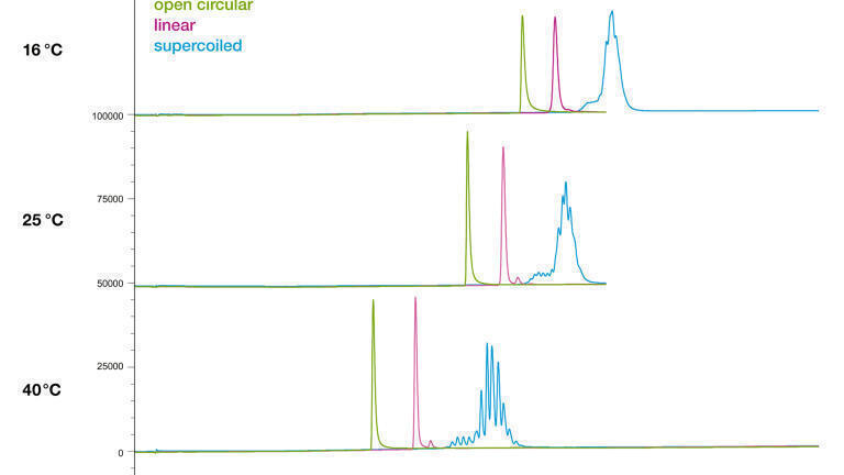 Influence of temperature on the separation of all three pDNA isoforms using phosphate buffer.
