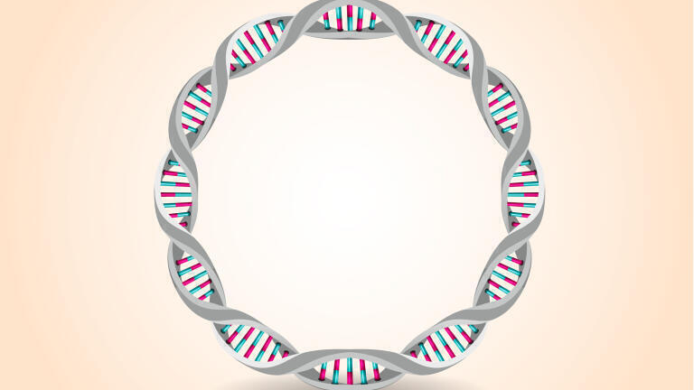 Efficient HIC plasmid isoform analysis