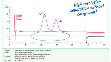 Innovative Anion Exchange Resin for Purification of Large Biomolecules