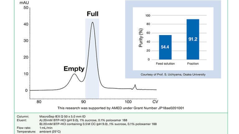 Picture 2: Excellent resolution: Purification of full and empty AAVs.