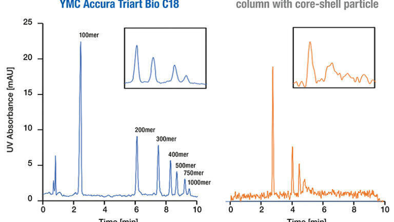 Figure 3: Separation of oligonucleotides of different length using the widepore YMC Accura Triart Bio C18 column compared to a column with core-shell particle.