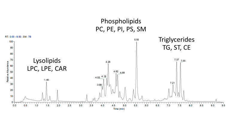 Figure 2: Successful lipidomic analysis of a human plasma sample using a YMC Accura Triart C8 column.