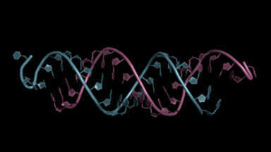 RP-MS analysis of therapeutic oligonucleotides without the use of ion pair reagents