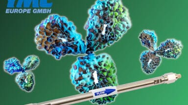 Maximum efficiency in the analysis of mAbs and ADCs