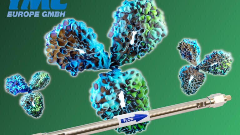 Maximum efficiency in the analysis of mAbs and ADCs